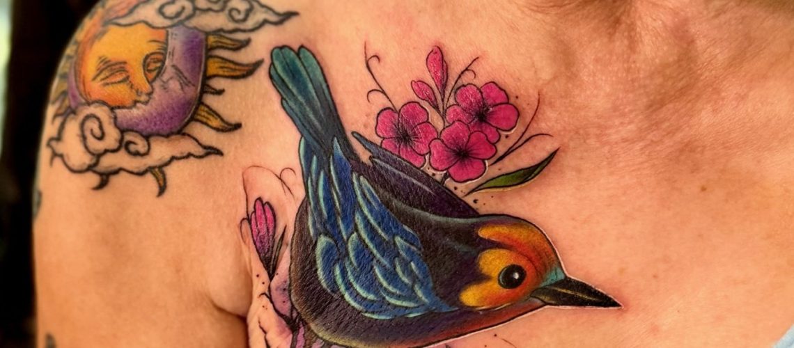 cover oiseau